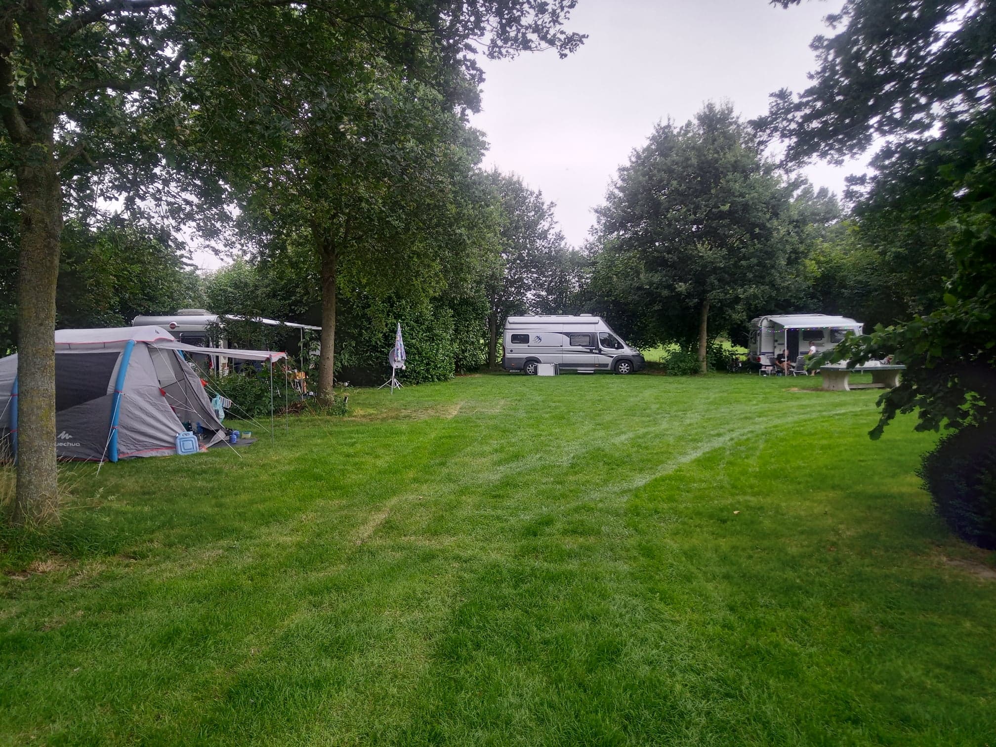 116801507 599567467370724 4406871242765318592 n