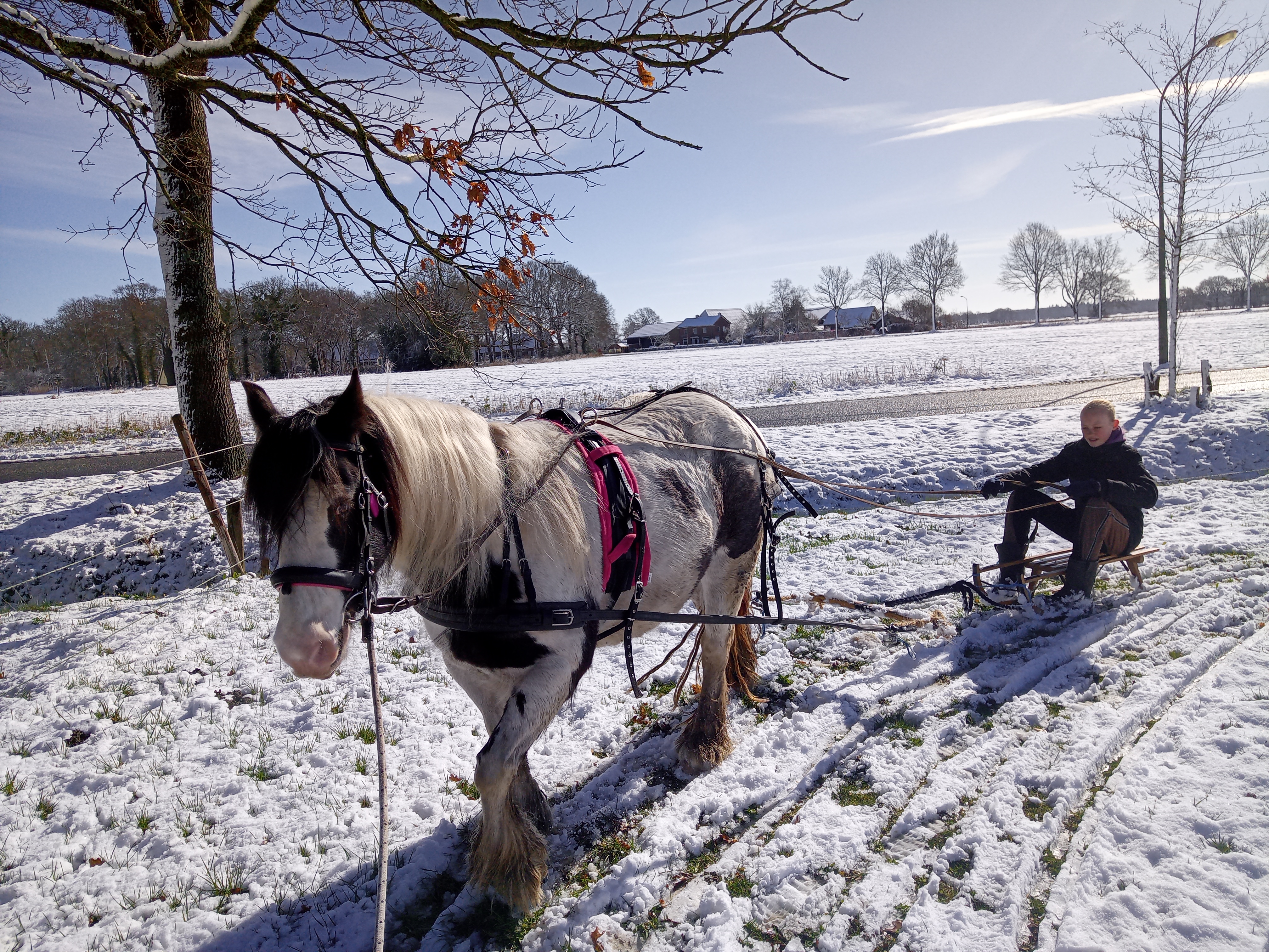 IMG 20230311 104422 7