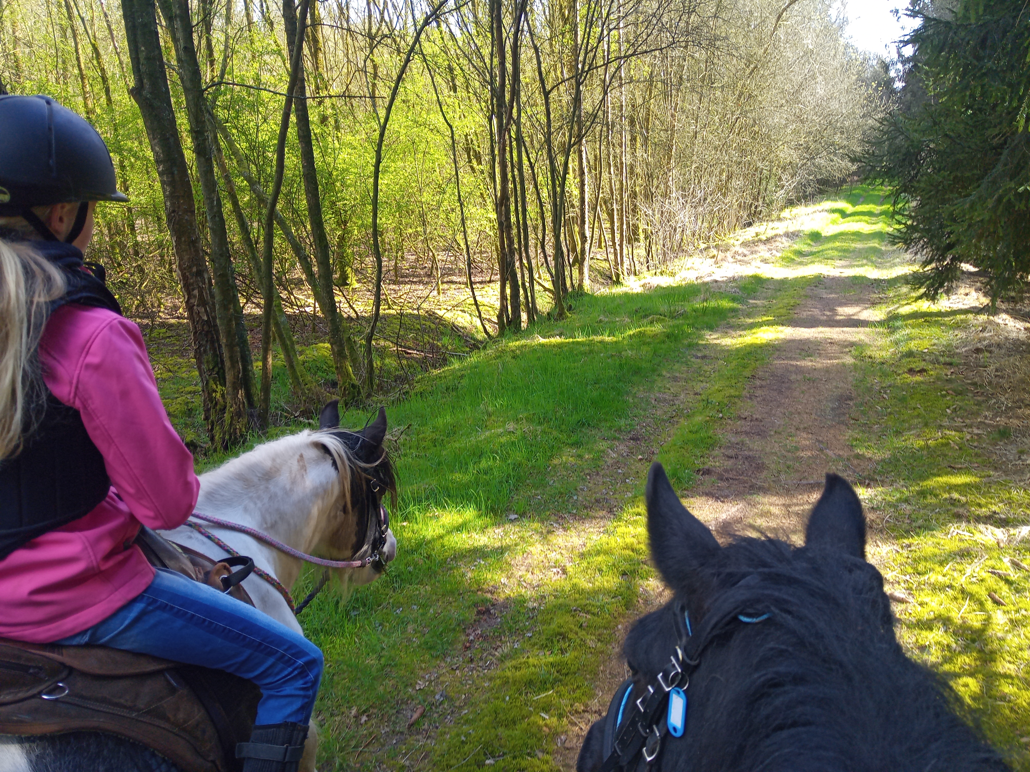 IMG 20230414 165740 8