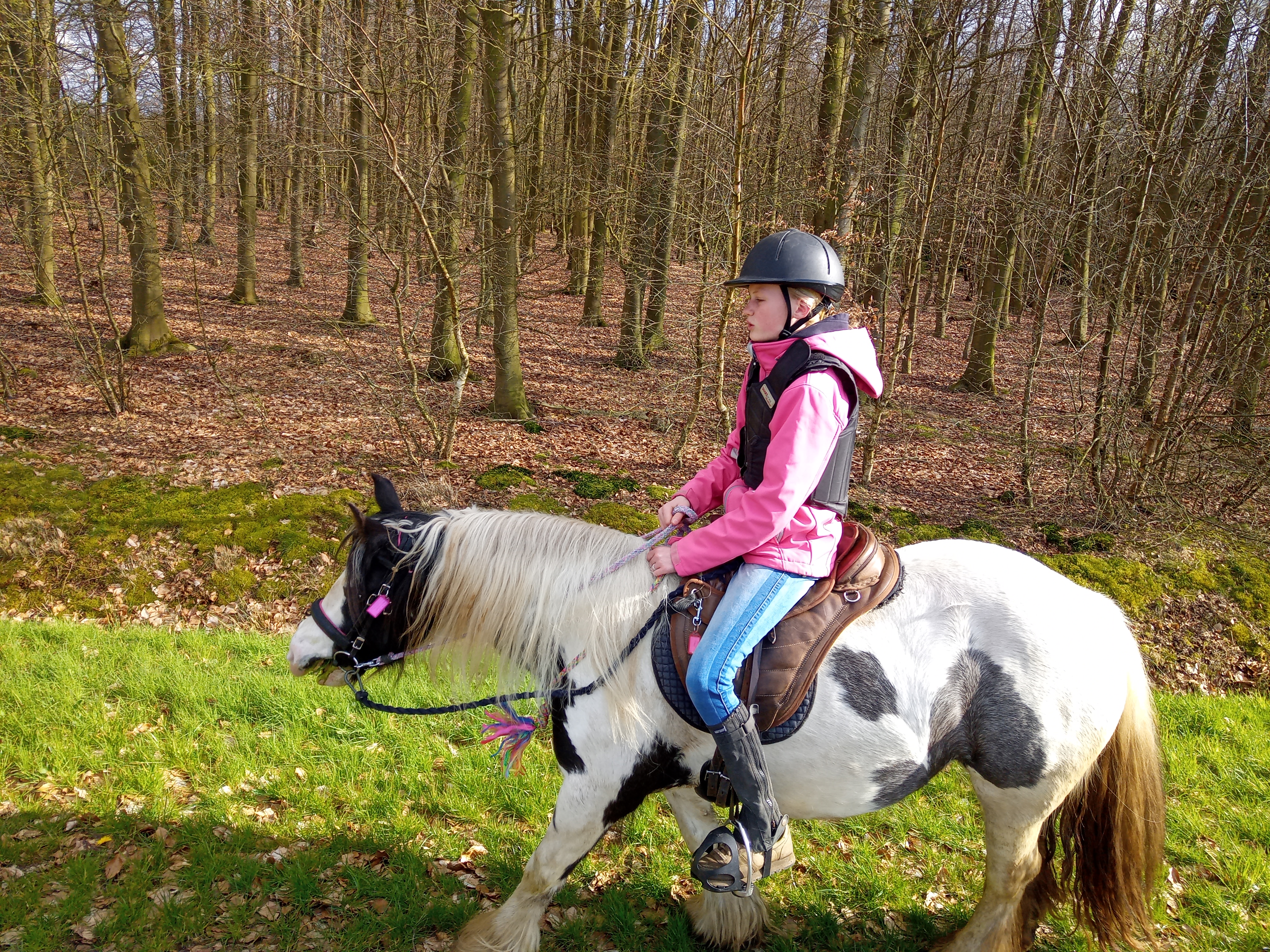 IMG 20230414 171745 5