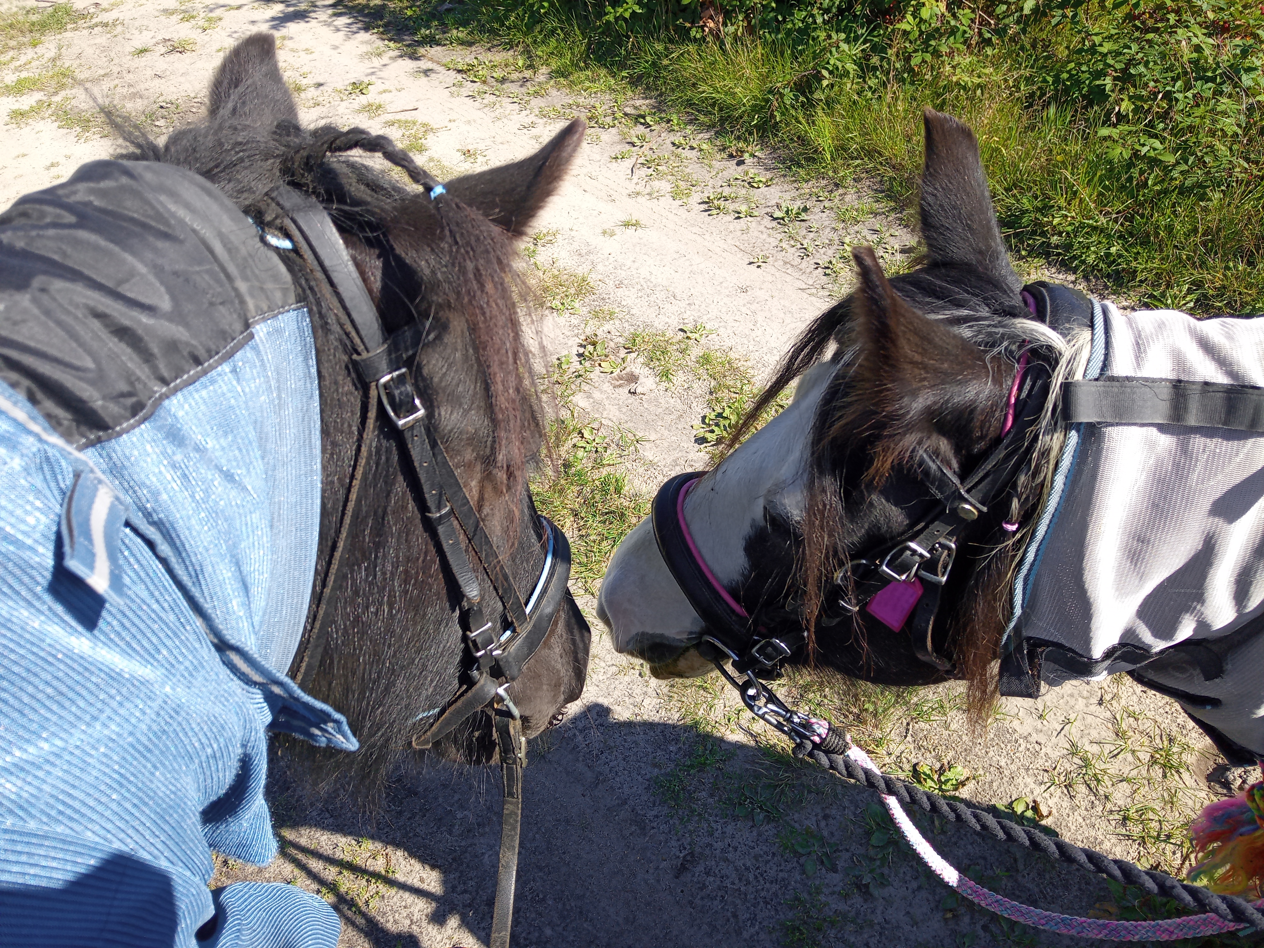 IMG 20230904 124124 1