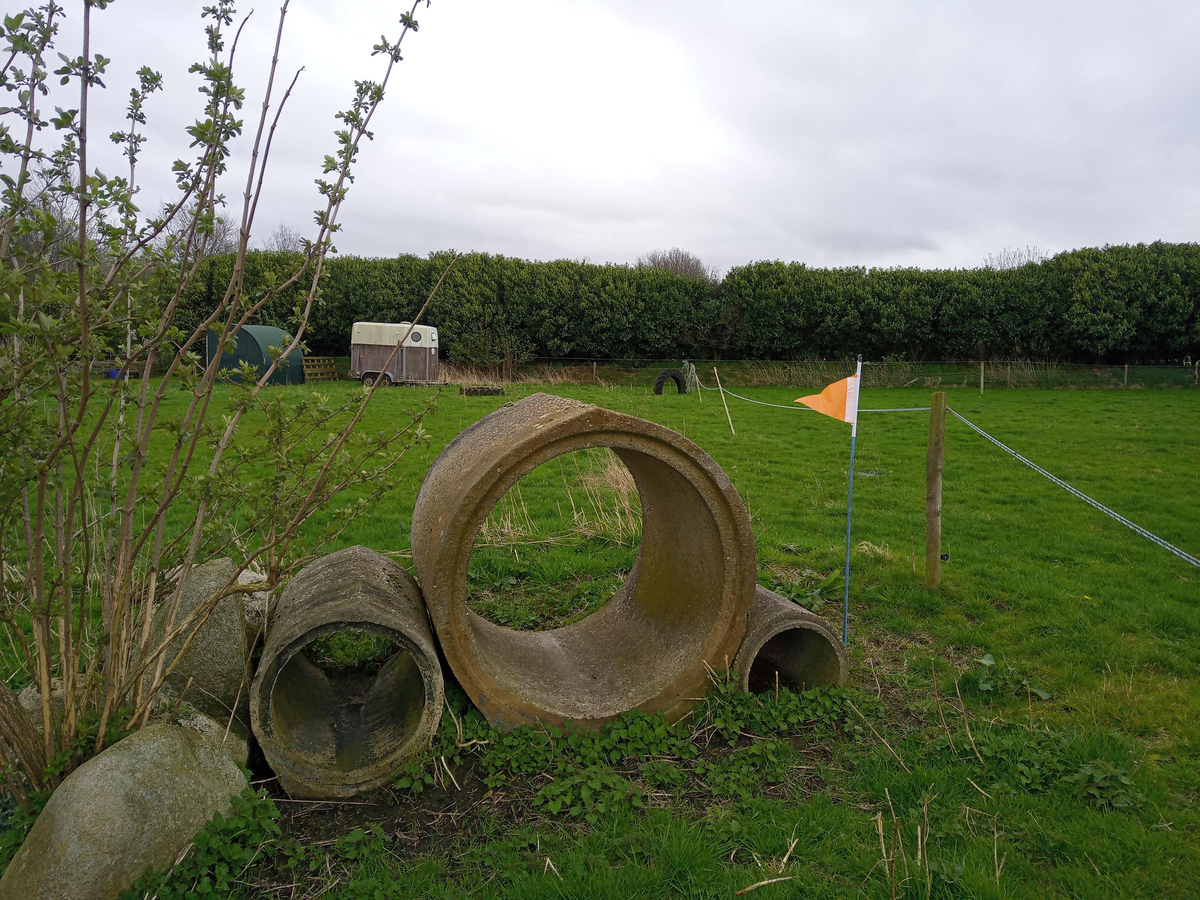 IMG 20240327 120317 1