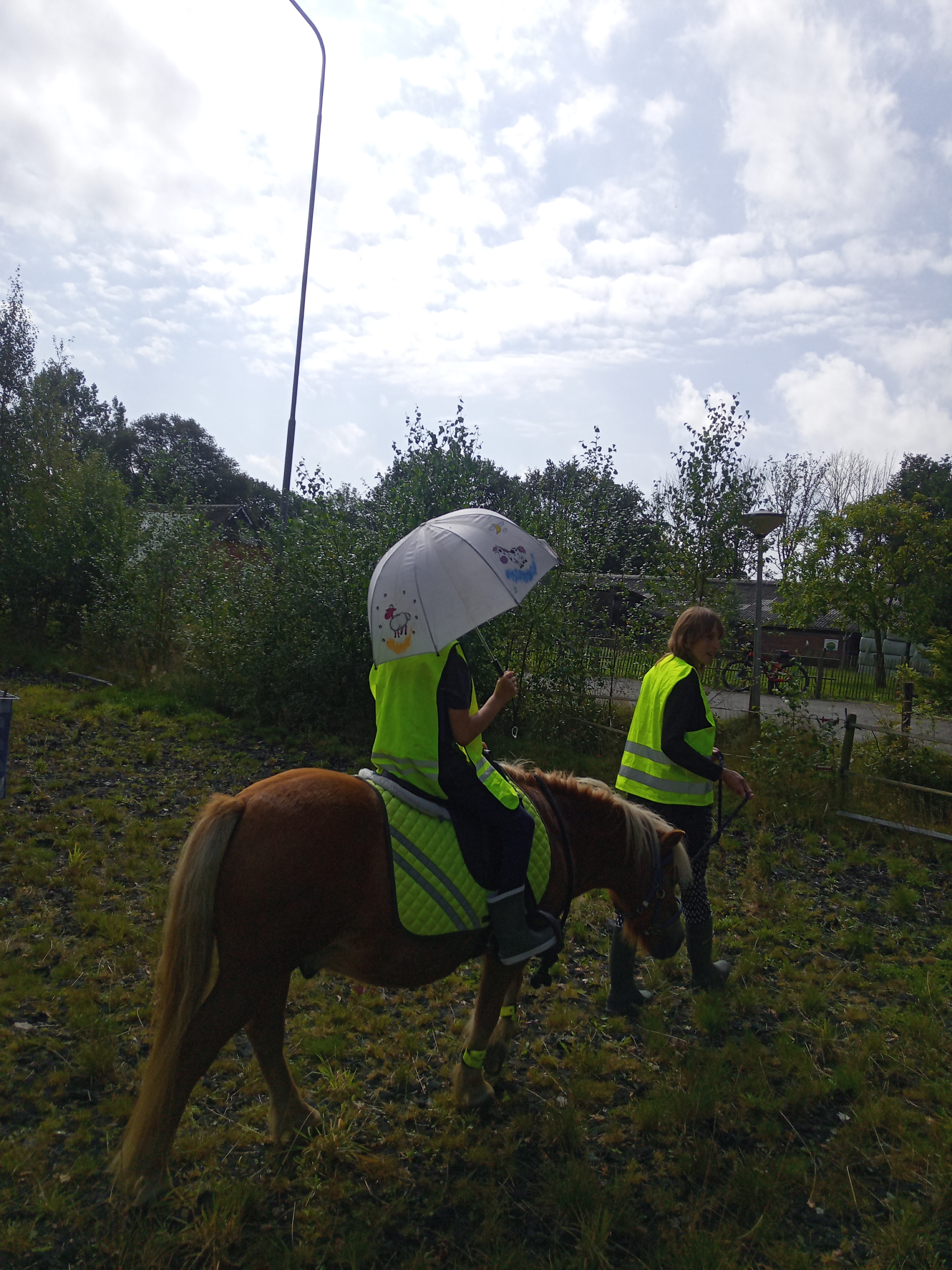 IMG 20240824 120140 4