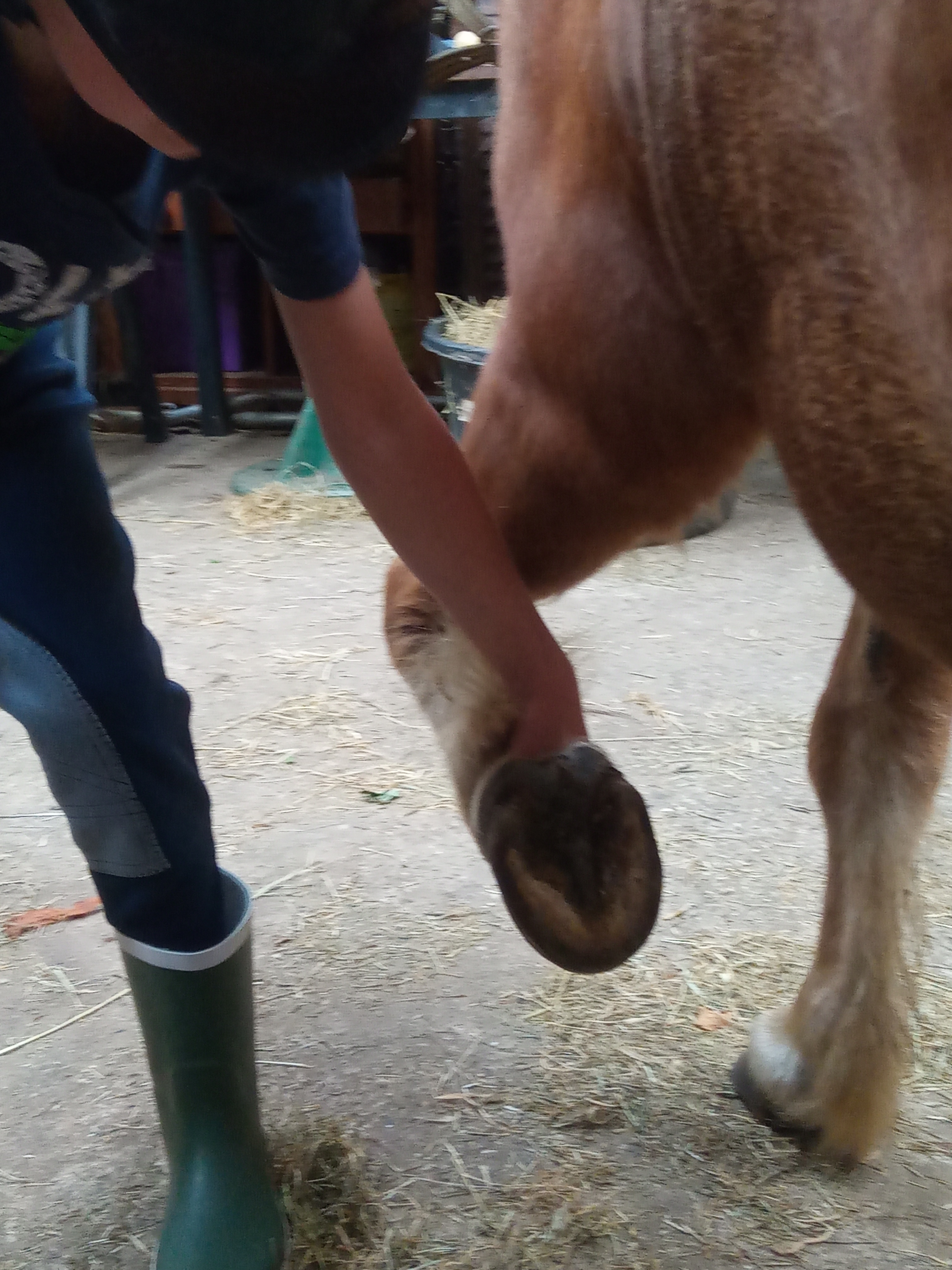 IMG 20240825 160626 5