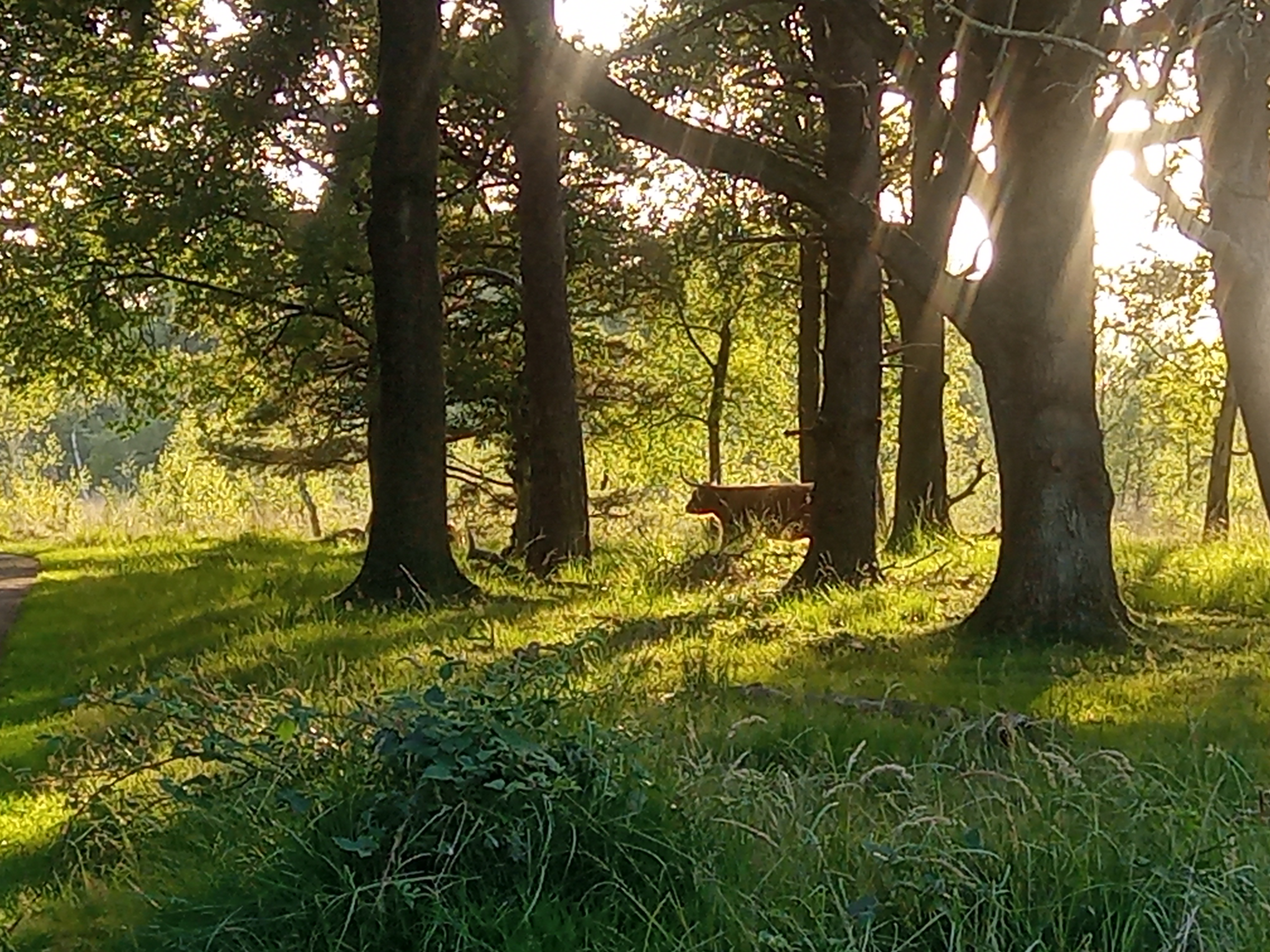 IMG 20250812 194934 9