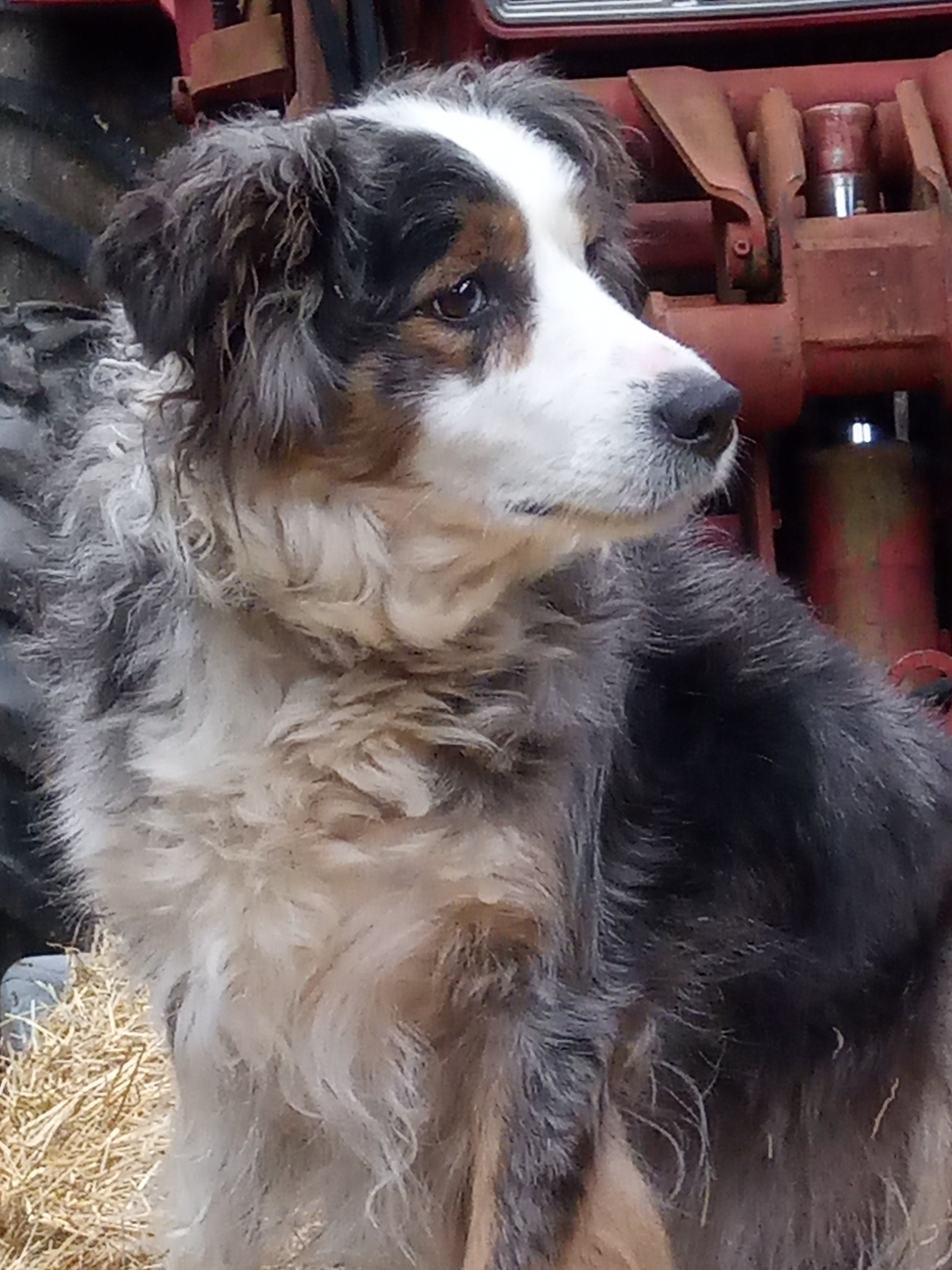 IMG 20251005 165838 9