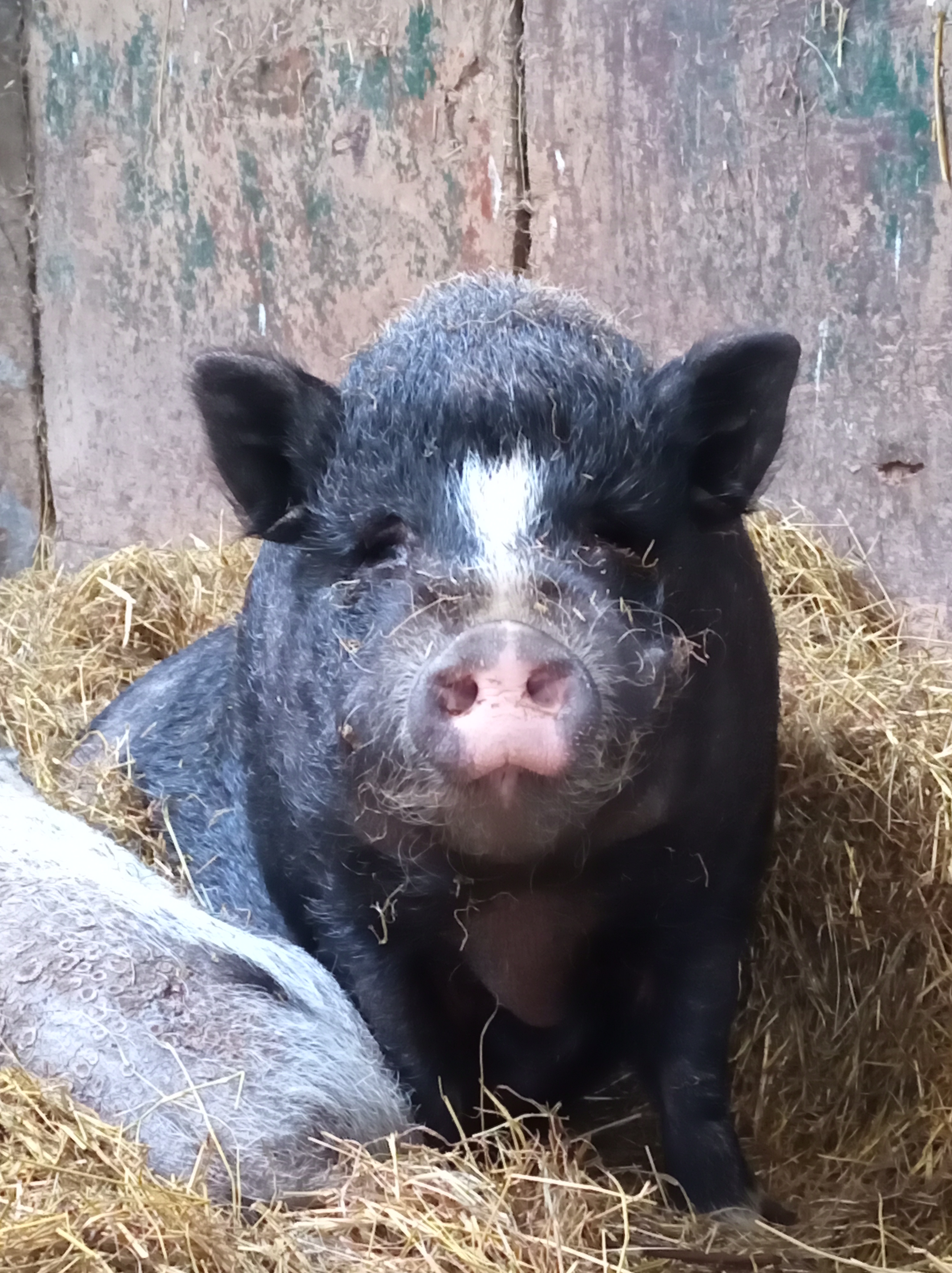 IMG 20260325 113312 605